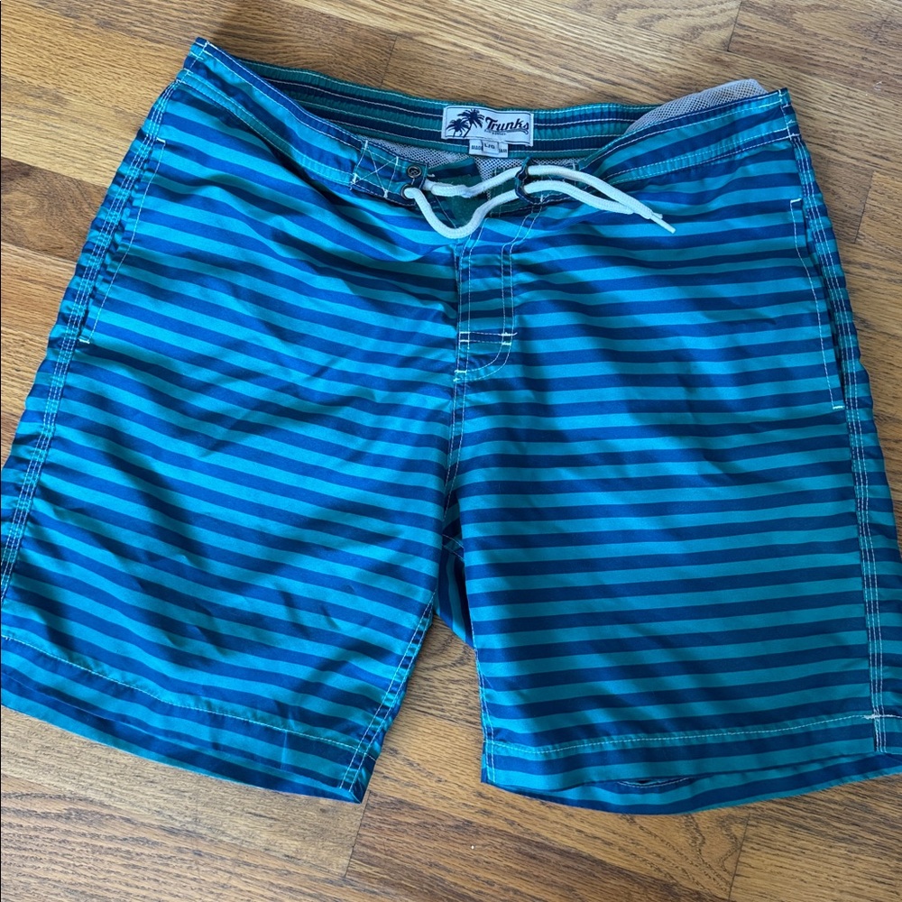 Trunks Surf & Swim Co. Blue Striped Men's Shorts